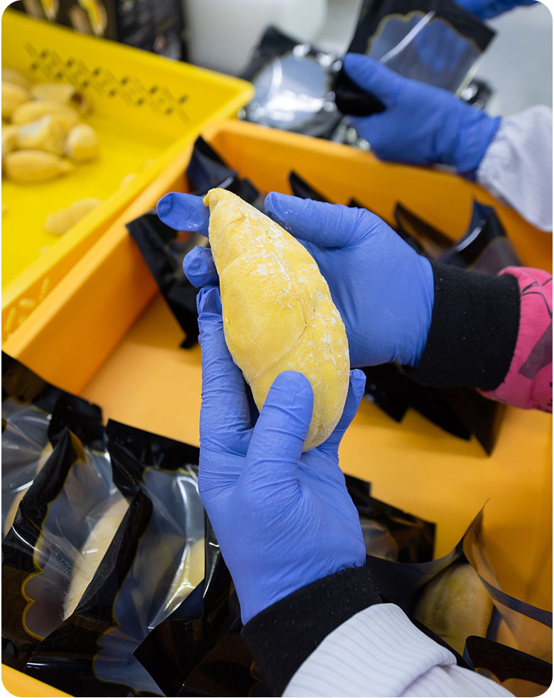 home-durian-packing-rounded