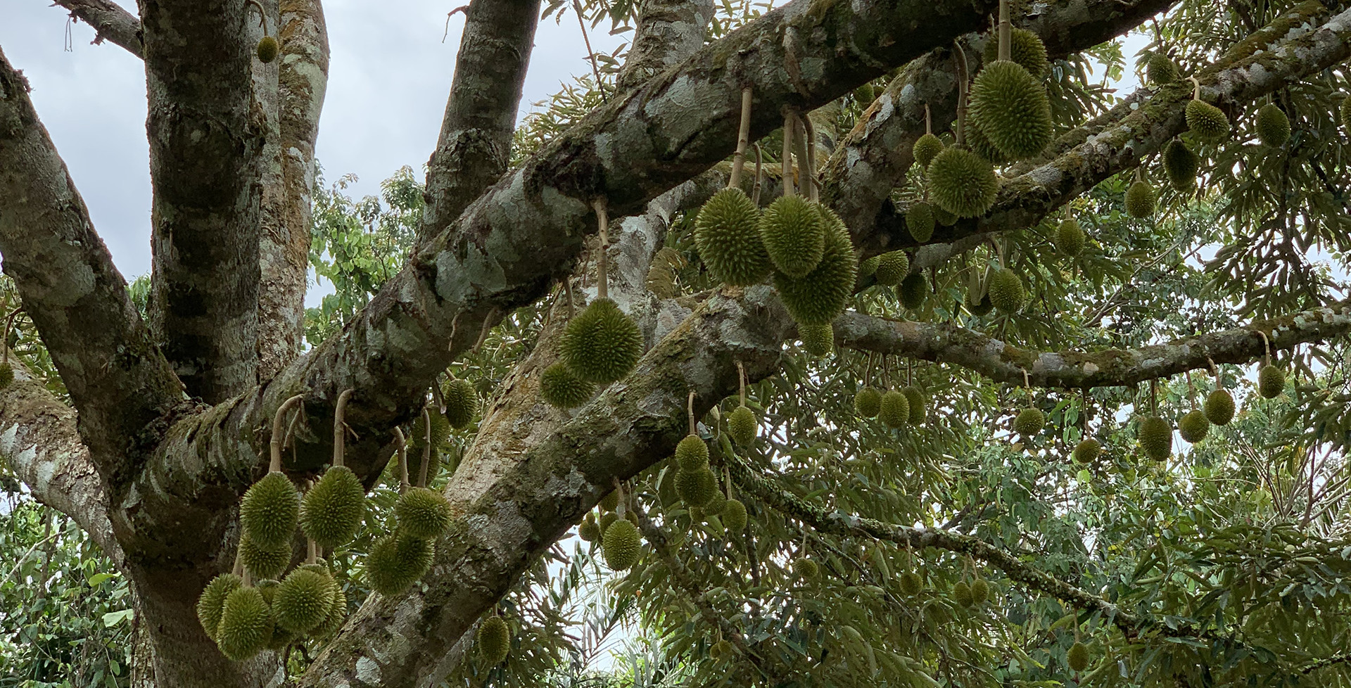 home-slide home-slide